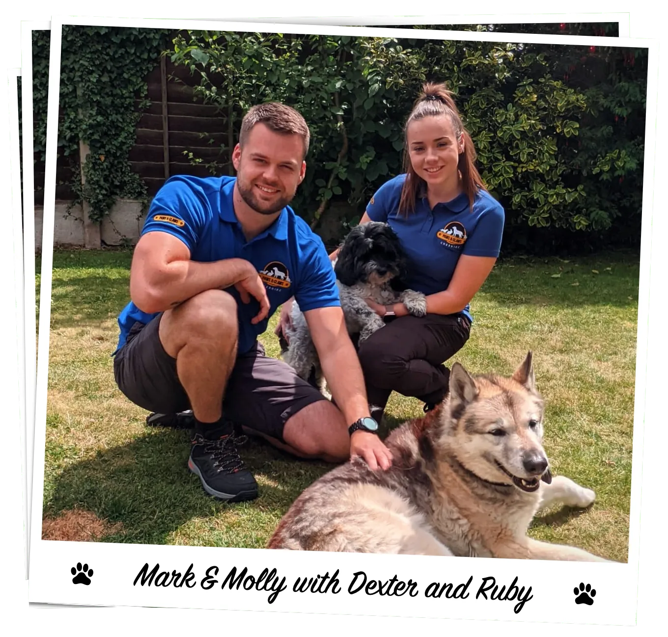 mark and molly dog walkers haslington crewe
